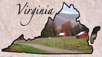 Photo of Virginia Will Give You Lots Of Fun Fact and Touch of Historical Facts
