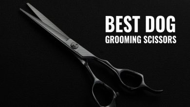 Photo of What are the best scissors for dog grooming
