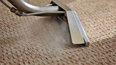 Photo of Everything you need to know about carpet cleaning Melbourne 