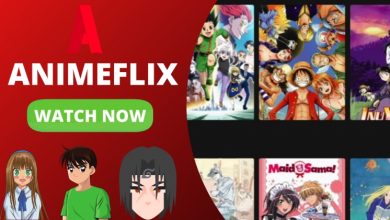 Photo of Anime Flix | AnimeFlix | Anime Flix com | 2021 – Download Your Needed, Latest, New Animation through Animeflix: Watch & Enjoy