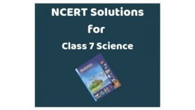 Photo of What are the Most Important Reasons to Prefer NCERT Solutions in Class 7 and Class 8 Mathematics?