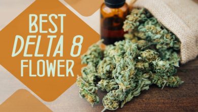 Photo of What are the uses of CBD flower and Delta-8?