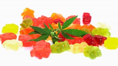 Photo of Which Brand of Cannabis Gummies Is the Best?