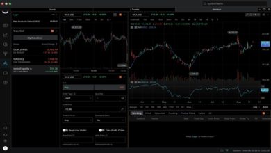 Photo of Webull Is The Best Trading Platform That You Need To Trade Right Now—Is It Safe? 