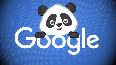 Photo of What is Panda in SEO?