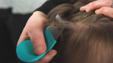 Photo of Lice Removal: How To Identify, Prevent And Treat lice