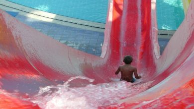 Photo of Waterparks With Cool Waterslides In The USA |Largest Water Parks in the World