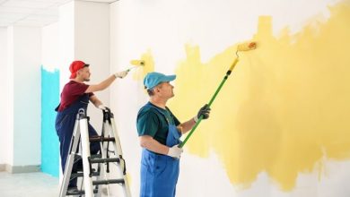 Photo of How to Choose a Professional Painter